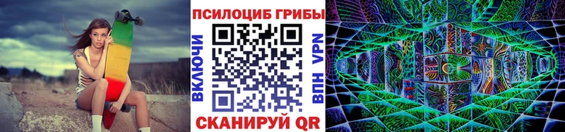 Псилоцибиновые грибы Cubensis  Купить где  Дзержинск 